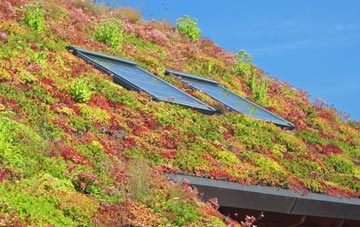 Heighley living roof systems